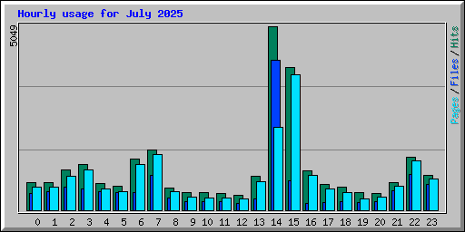 Hourly usage for July 2025