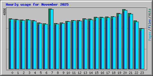 Hourly usage for November 2025